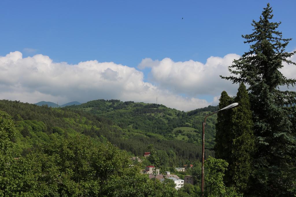 Вилла Dilijan Garden House Экстерьер фото